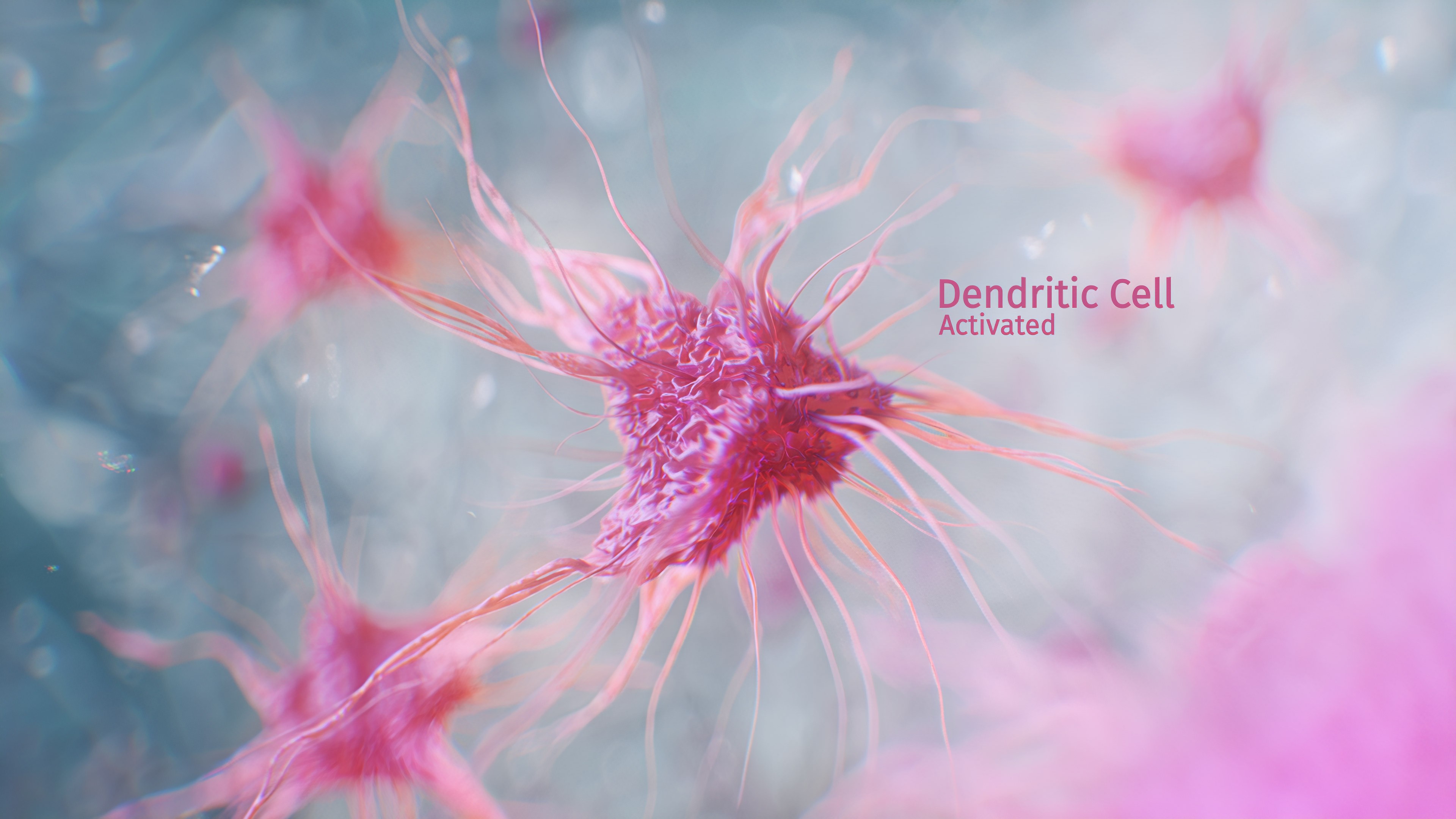 https://vantageinc.co/wp-content/uploads/2025/03/mouse-dendritic-cell-kunkel-microscopyscience-3d-model.jpg